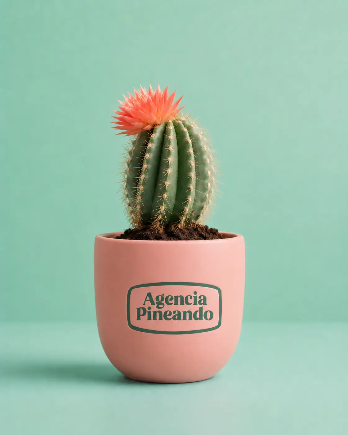 Conoce a la Agencia Pineando - El ADN de la Agencia: Curiosidad por aprender cosas nuevas
